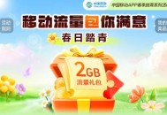 2025年2月移动免费流量汇总