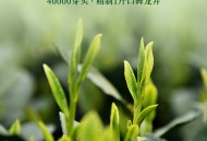 9元口粮龙井茶叶+头戴蓝牙耳机+乌苏啤酒+蒸汽眼罩+女士香水+编程积木玩具