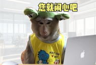 2025回复老板的搞笑表情包_适合发给领导的表情图片