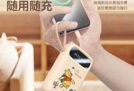 迪士尼2W毫安充电宝+CEIN双管洗面奶组合+舒客电动冲牙器