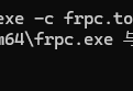 Frp内网穿透服务端搭建教程-官方版本