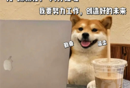 搞笑打工人专用表情包_2025牛马打工人表情图片